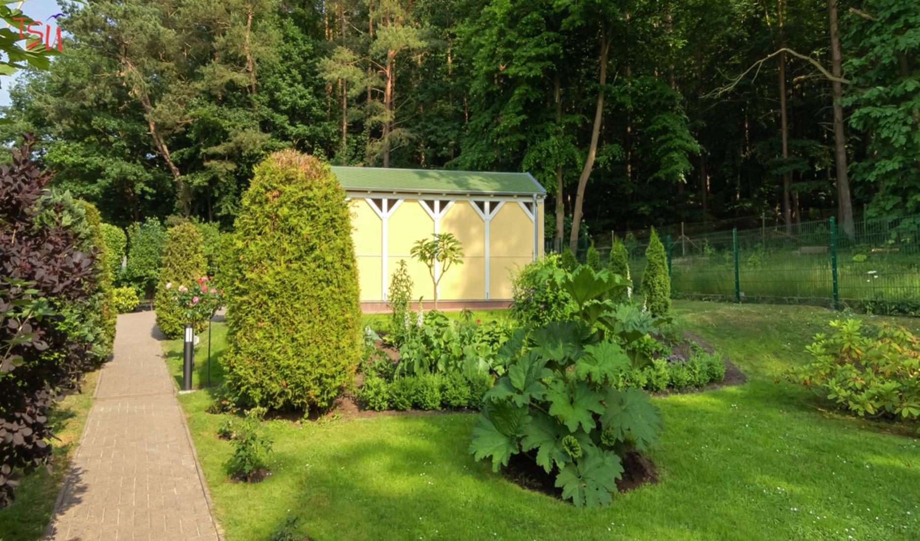 Haus Am Wald Apartment Heringsdorf  Bagian luar foto